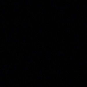 Meet your Posher, Elon